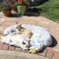Calming Sofa Dog Bed